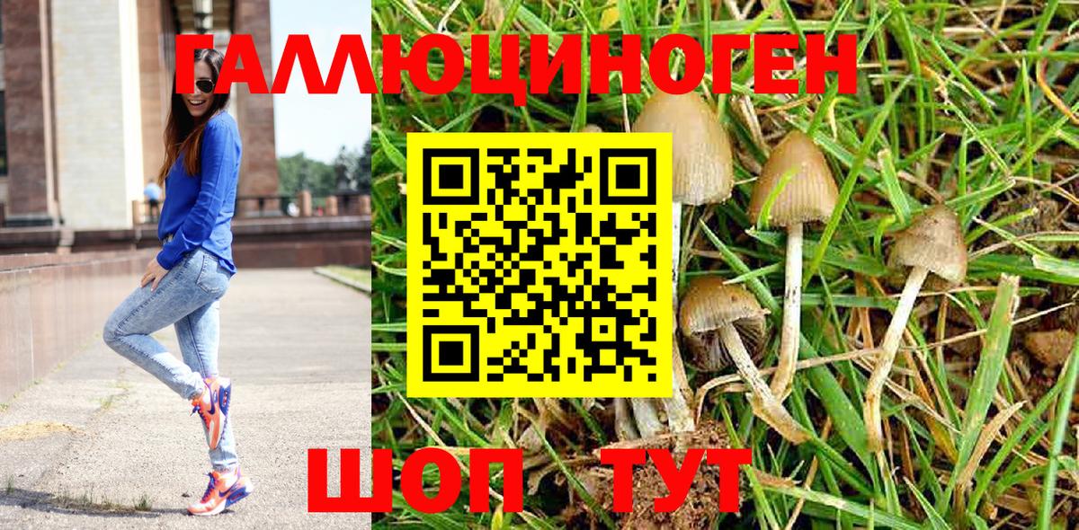 Галлюциногенные грибы мицелий  Вход с VPN  Урюпинск  Псилоцибиновые грибы мицелий 